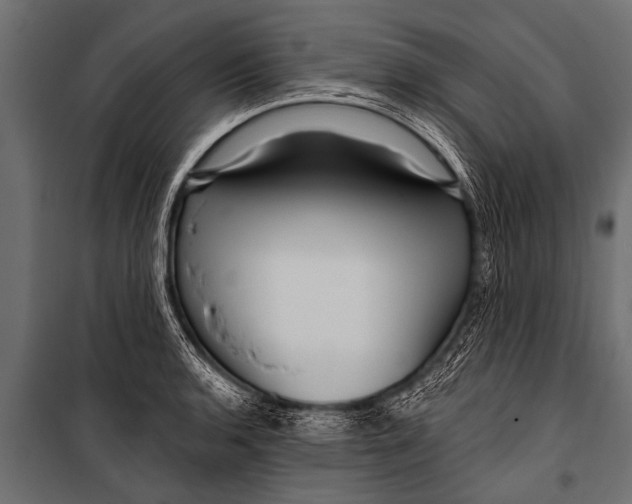 X0000099961136200806201331