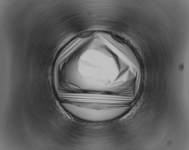 X0000099961137200806201331