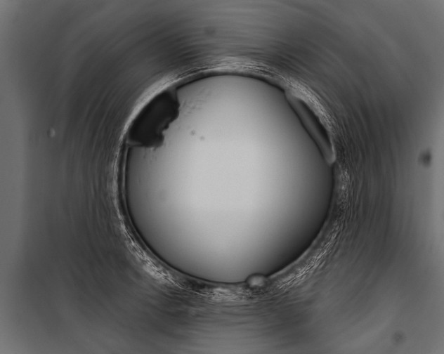 X0000099961138200806201331