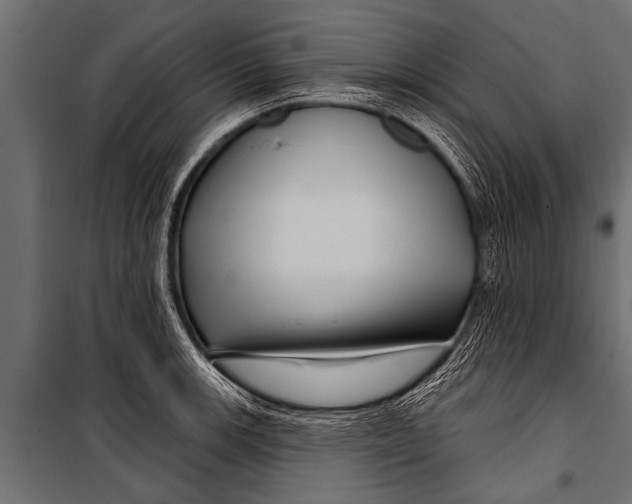 X0000099961139200806201331