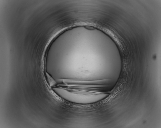 X0000099961140200806201331