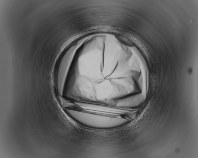 X0000099961141200806201331