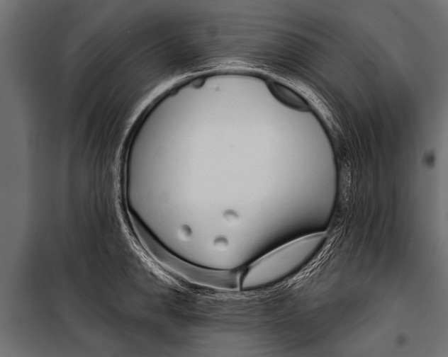 X0000099961142200806201331