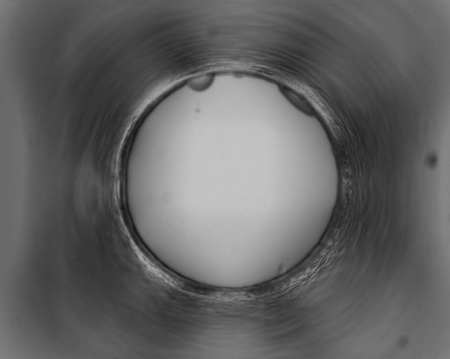 X0000099961143200806201331