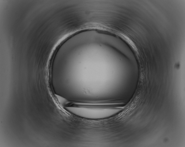 X0000099961144200806201331