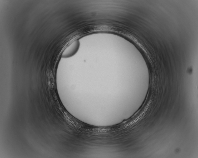 X0000099961145200806201331