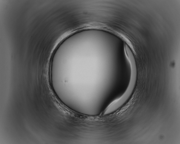 X0000099961146200806201331