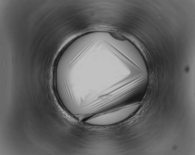 X0000099961147200806201331