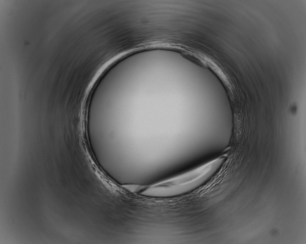 X0000099961148200806201331