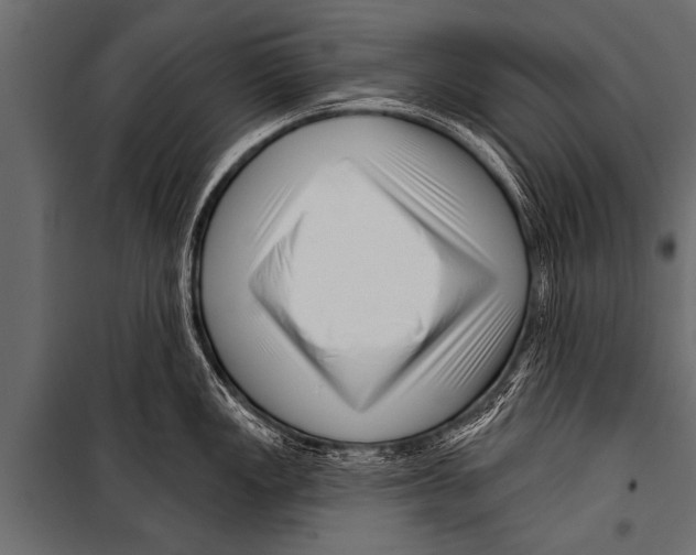 X0000099961149200806201331