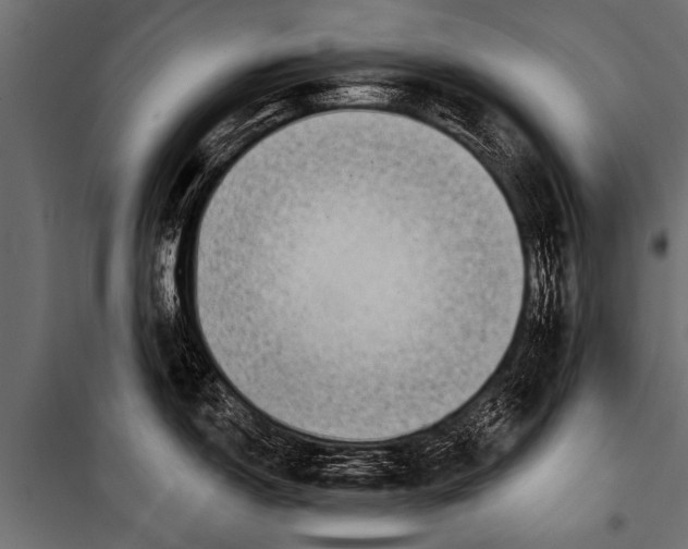 X0000099961150200806201331