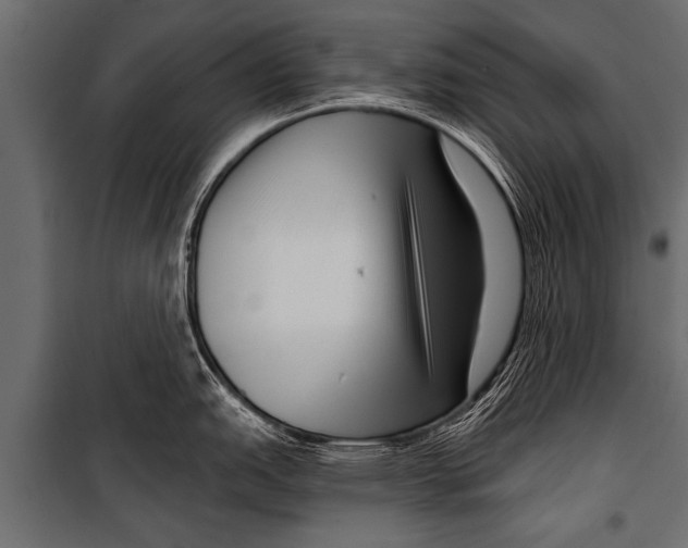 X0000099961151200806201331