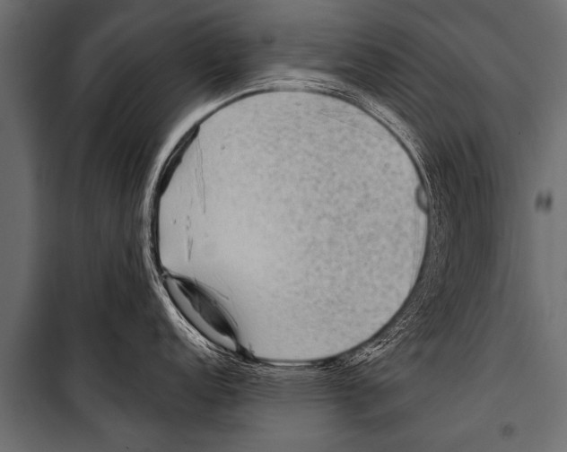 X0000099961152200806201331