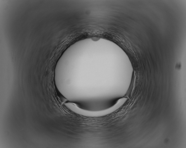 X0000099961153200806201330