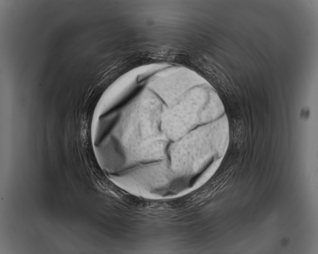 X0000099961154200806201330