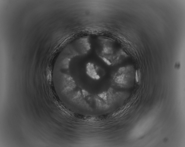 X0000099961155200806201330