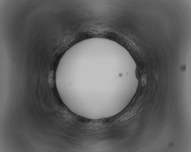 X0000099961156200806201330