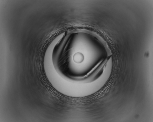 X0000099961157200806201330