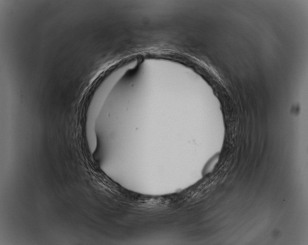 X0000099961160200806201330