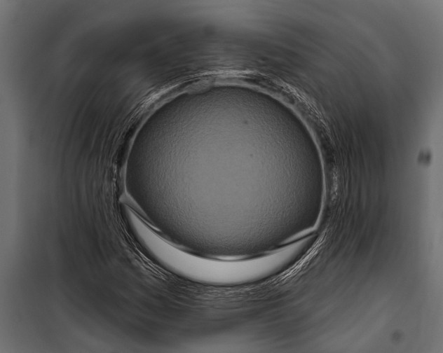 X0000099961161200806201330