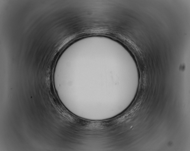 X0000099961162200806201330