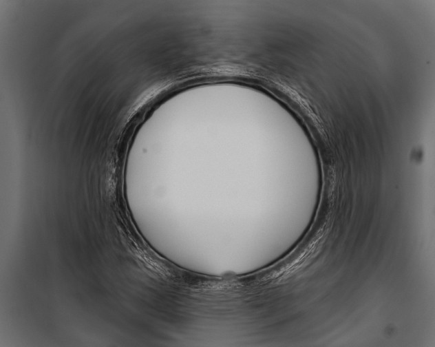 X0000099961163200806201330