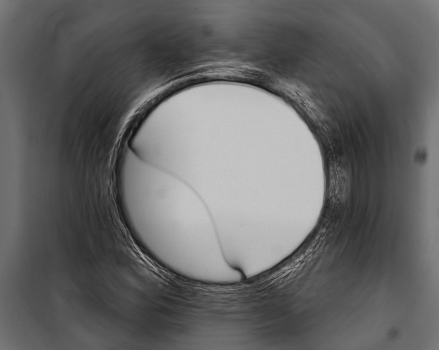 X0000099961164200806201330