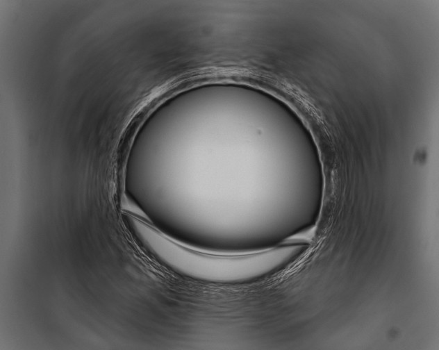 X0000099961165200806201330