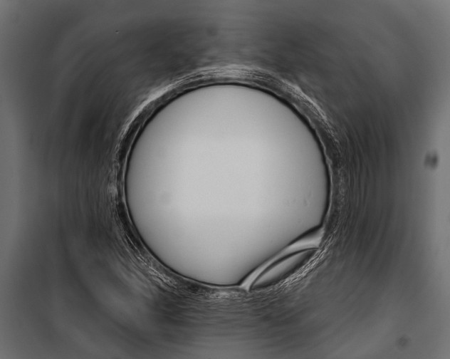 X0000099961166200806201330