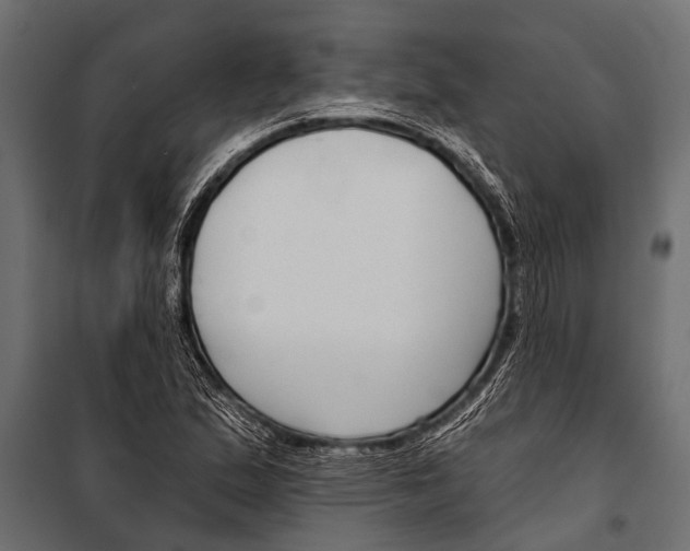 X0000099961167200806201330