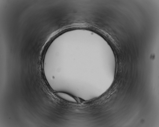 X0000099961168200806201330