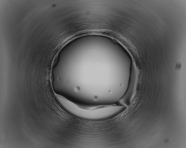 X0000099961169200806201330