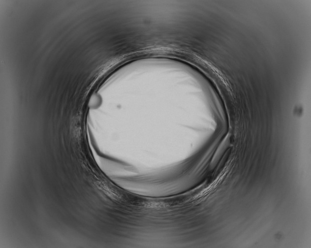 X0000099961170200806201330