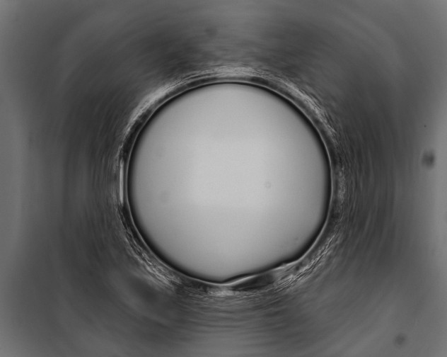 X0000099961171200806201330