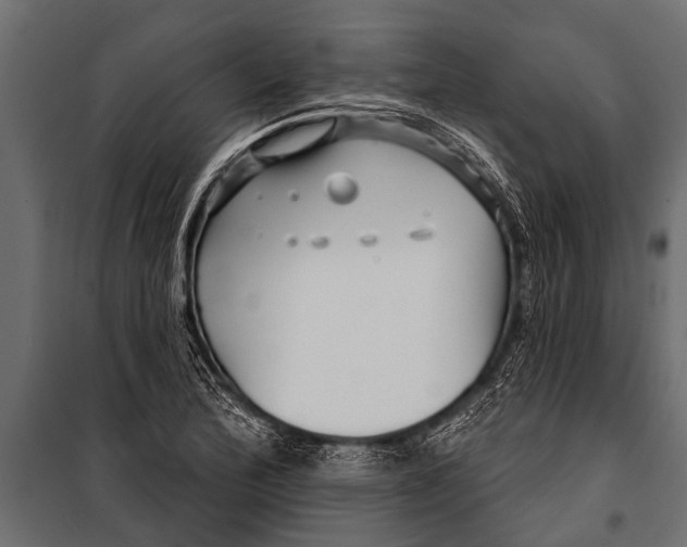 X0000099961172200806201330