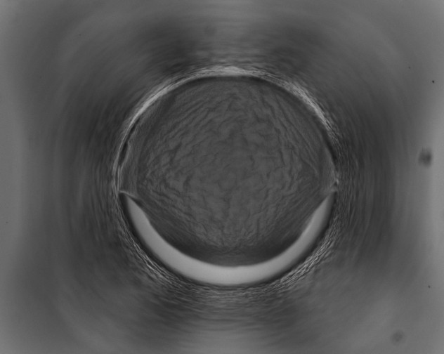 X0000099961173200806201330