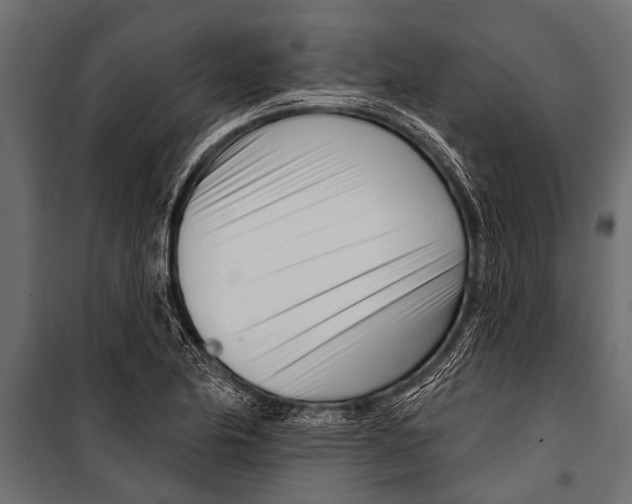 X0000099961174200806201330