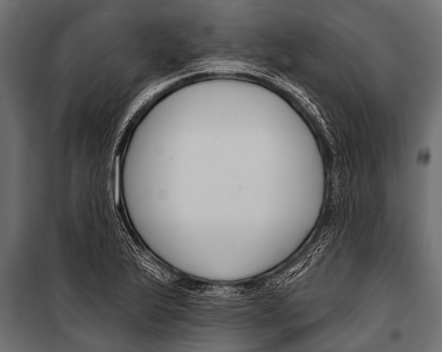 X0000099961175200806201330