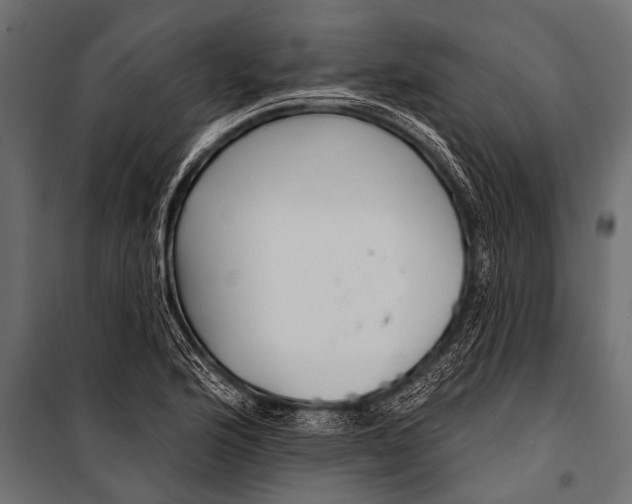 X0000099961176200806201330