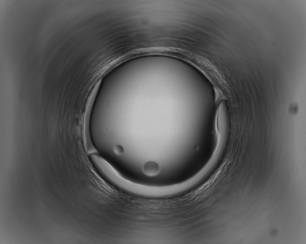 X0000099961177200806201330