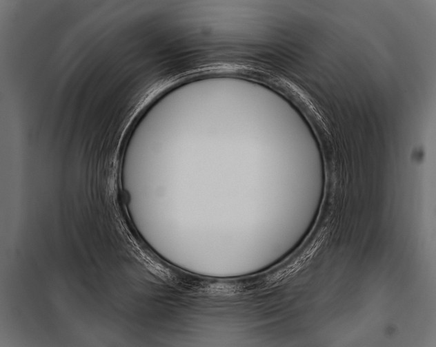 X0000099961178200806201330