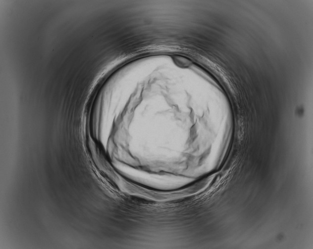 X0000099961179200806201330