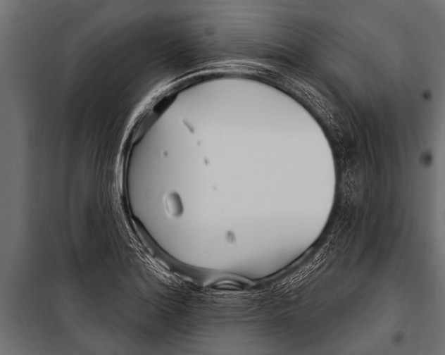 X0000099961180200806201330