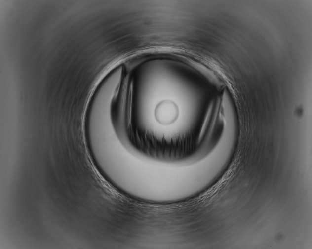 X0000099961181200806201330