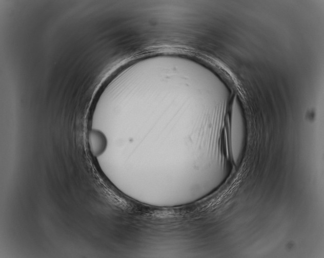 X0000099961182200806201330