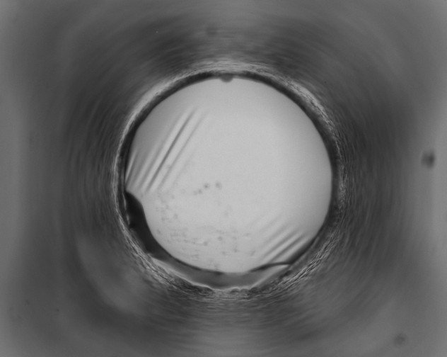 X0000099961183200806201330