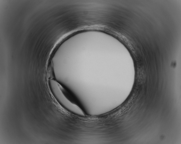 X0000099961184200806201330