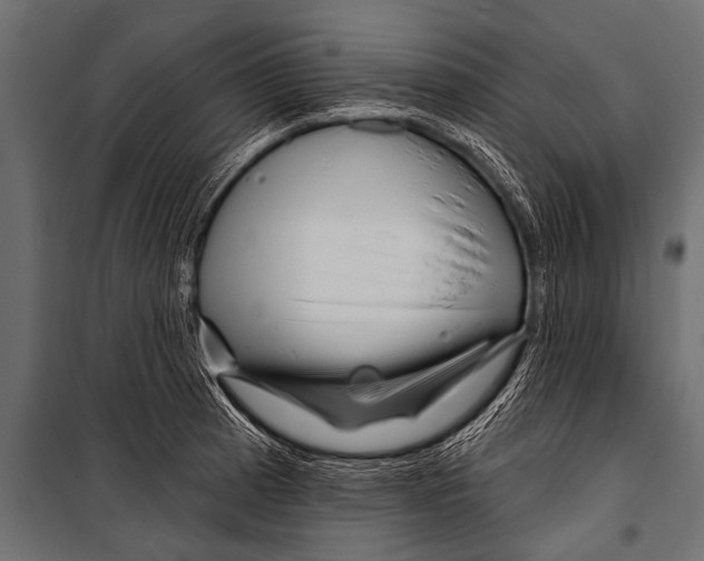 X0000099961185200806201330