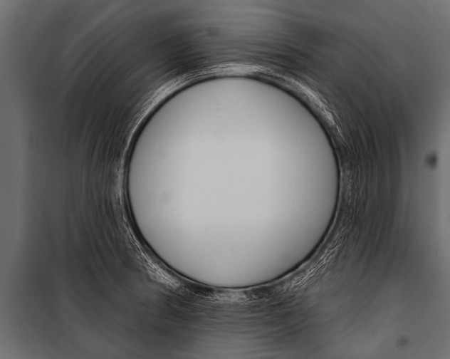 X0000099961186200806201330