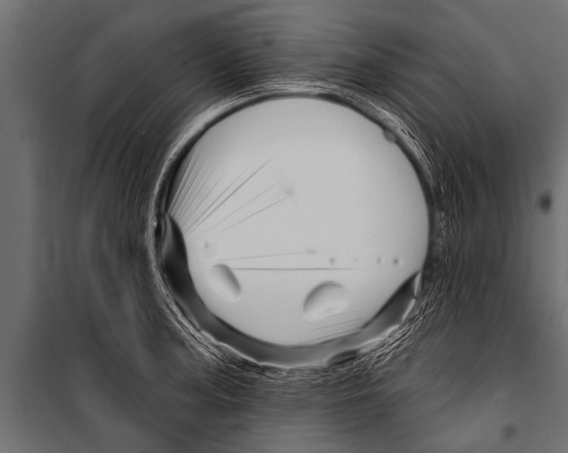 X0000099961187200806201330